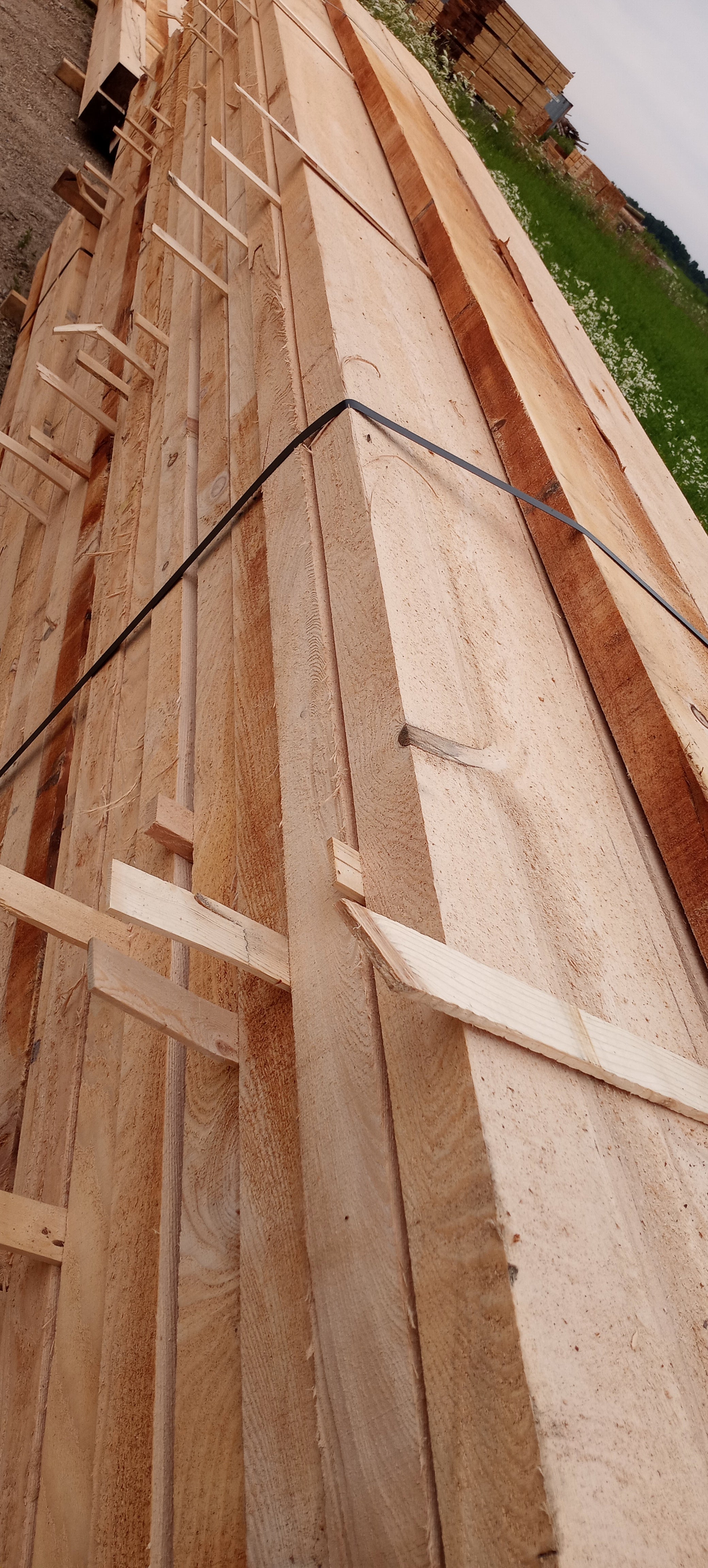 1x10  10 feet Pine